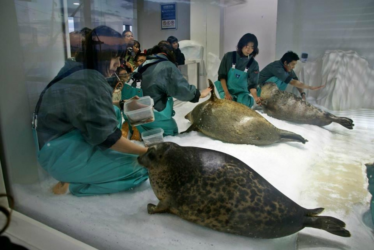 「動物園＆水族館編」人気ランキング発表！大阪・海遊館がアジアトップの快挙
