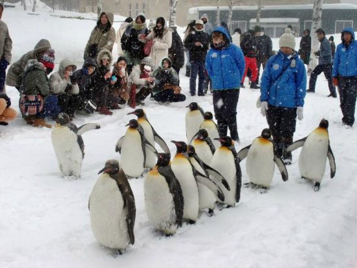 「動物園＆水族館編」人気ランキング発表！大阪・海遊館がアジアトップの快挙