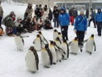 日本ランキング1位「旭山動物園」北海道／旭川市