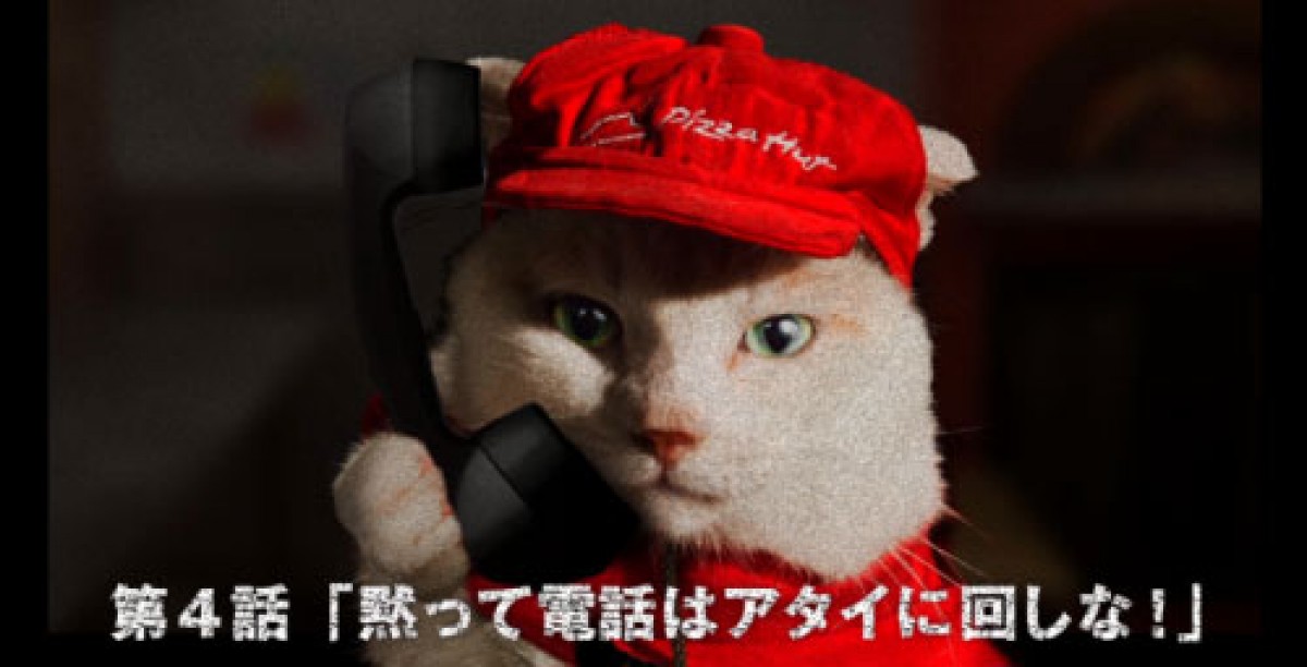 猫が働くピザハット!?　「ピザキャット！店」オープン記念で猫スタッフの動画公開