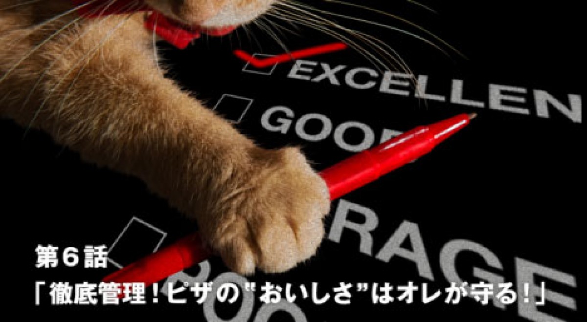猫が働くピザハット!?　「ピザキャット！店」オープン記念で猫スタッフの動画公開