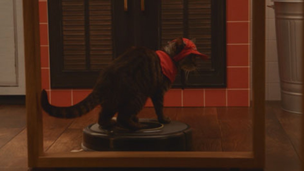 猫が働くピザハット!?　「ピザキャット！店」オープン記念で猫スタッフの動画公開
