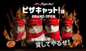 猫が働くピザハット!?　「ピザキャット！店」オープン記念で猫スタッフの動画公開