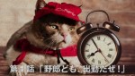 ピザハット「ピザキャット！店」がグランドオープン！記念動画も公開