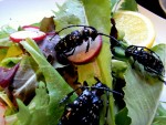 【カミキリサラダ】　「幼虫を食べる」のが一般的なカミキリムシですが、成虫もしっかり揚げれば美味しく食べられます。噛みしめるほどに、旨味がジワ～ッ。成虫は6～8月頃に発生するので、まさに夏の味！