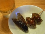 【セミの親子揚げ】　夏の美食（＝セミ）を、最もシンプルに食べられるのがこちら。セミの幼虫と成虫を素揚げしてパラッと塩をまぶせば、最高のおつまみに。クセのない香ばしさで、ビールがぐいぐい止まらなくなる！