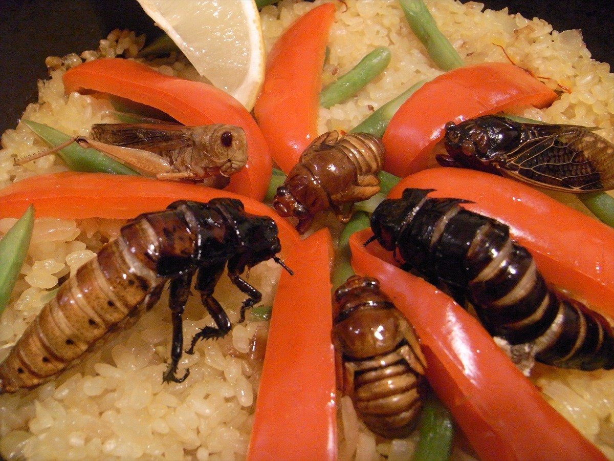 ＜閲覧注意＞虫って食べたらおいしいの？　虫食いライター・ギリコさんに聞いてみた