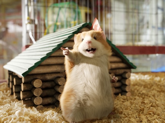 「草食系だと思ってナメんなよ!」