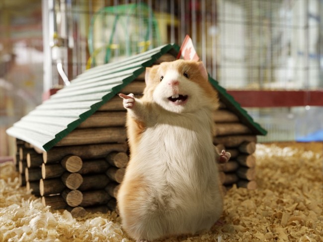 「草食系だと思ってナメんなよ！」