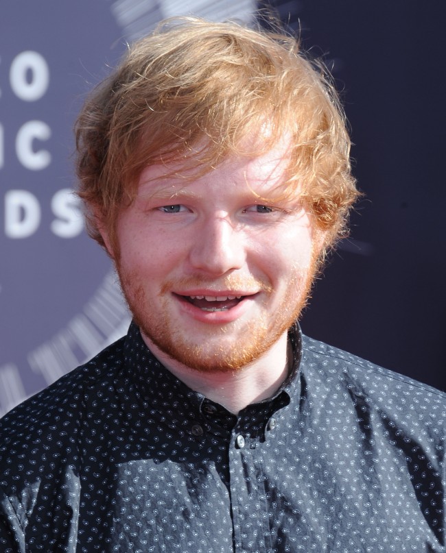 2014 MTV Video Music Awards　20140824　Ed Sheeran　エド・シーラン