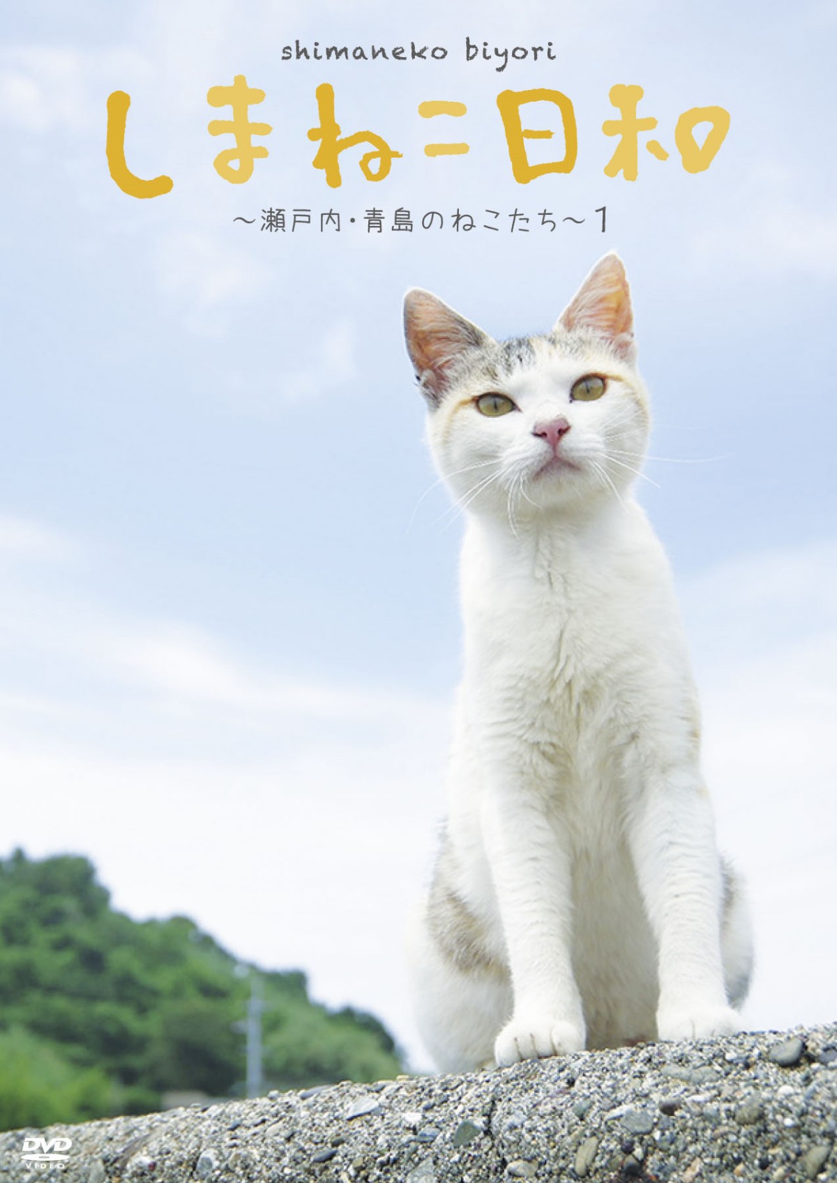 島猫たちののんびりした生活がたっぷり！　ローカル番組『しまねこ日和』がDVD化