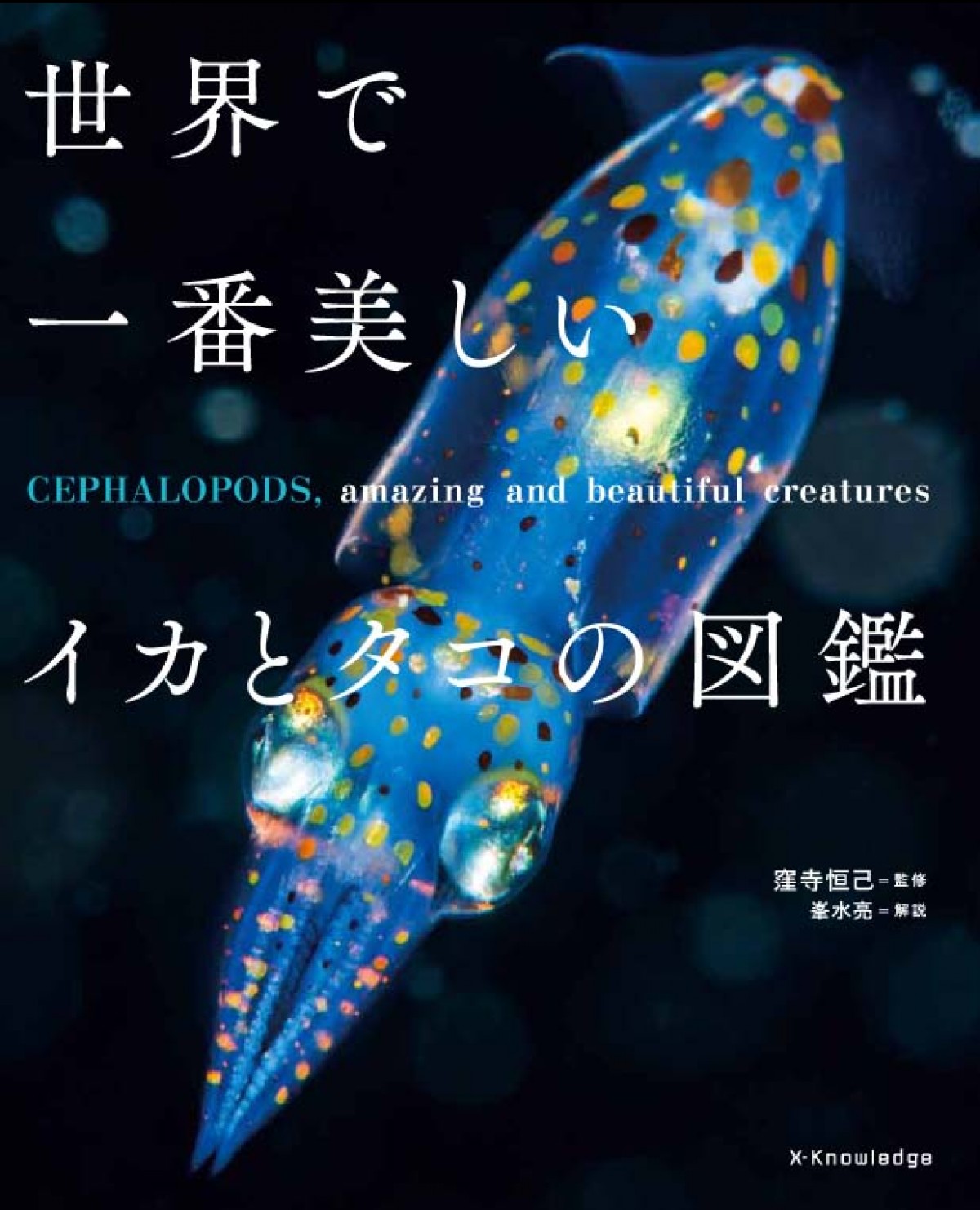 『世界で一番美しいイカとタコの図鑑』表紙