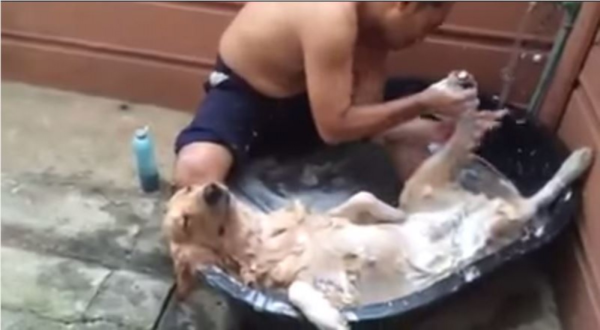 あ~気持ちいい~…