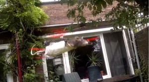 ＜動画＞死んだネズミが空を飛ぶ「ラット・コプター」　新しい弔いの形に衝撃