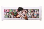 『一番くじ THANK YOU！ドラゴンボール30th!!』　表面／C賞 クッション（全1種）