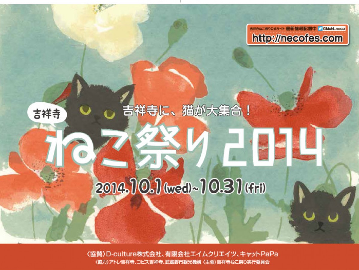 ねこ