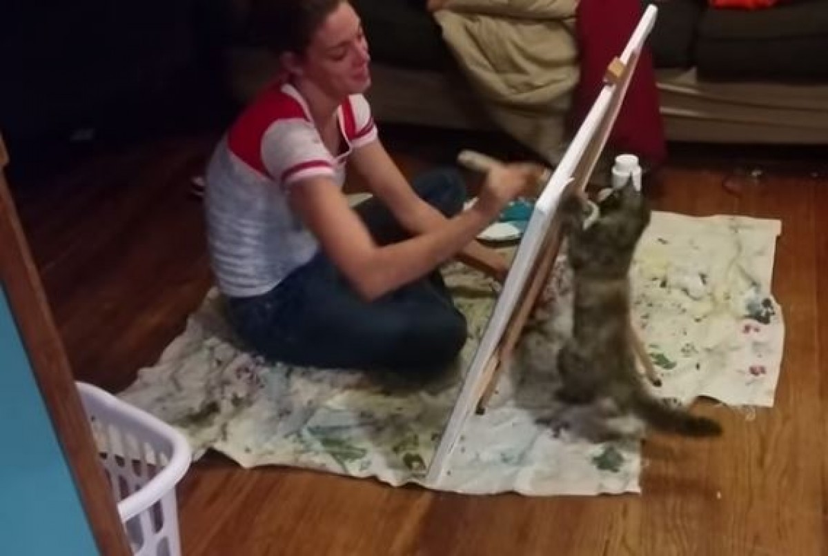 ＜動画＞キャンバスの裏からねこパンチ!! 絵筆を必死に追いかける子猫にメロメロ