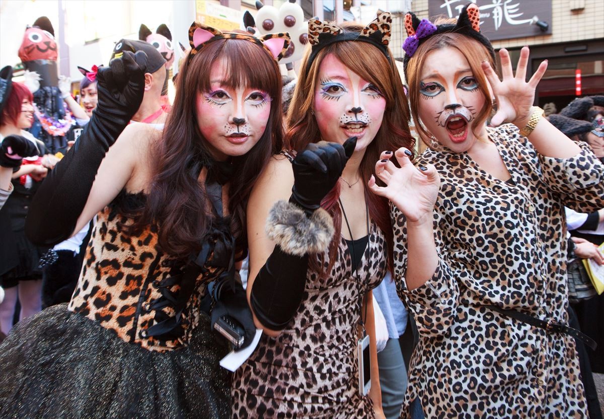 “猫版”ハロウィンパレードが神楽坂で開催！　猫の仮装なら誰でも参加OK