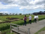 20年以上の歴史を持つ、青森県田舎館村（いなかだてむら）の「田んぼアート」
