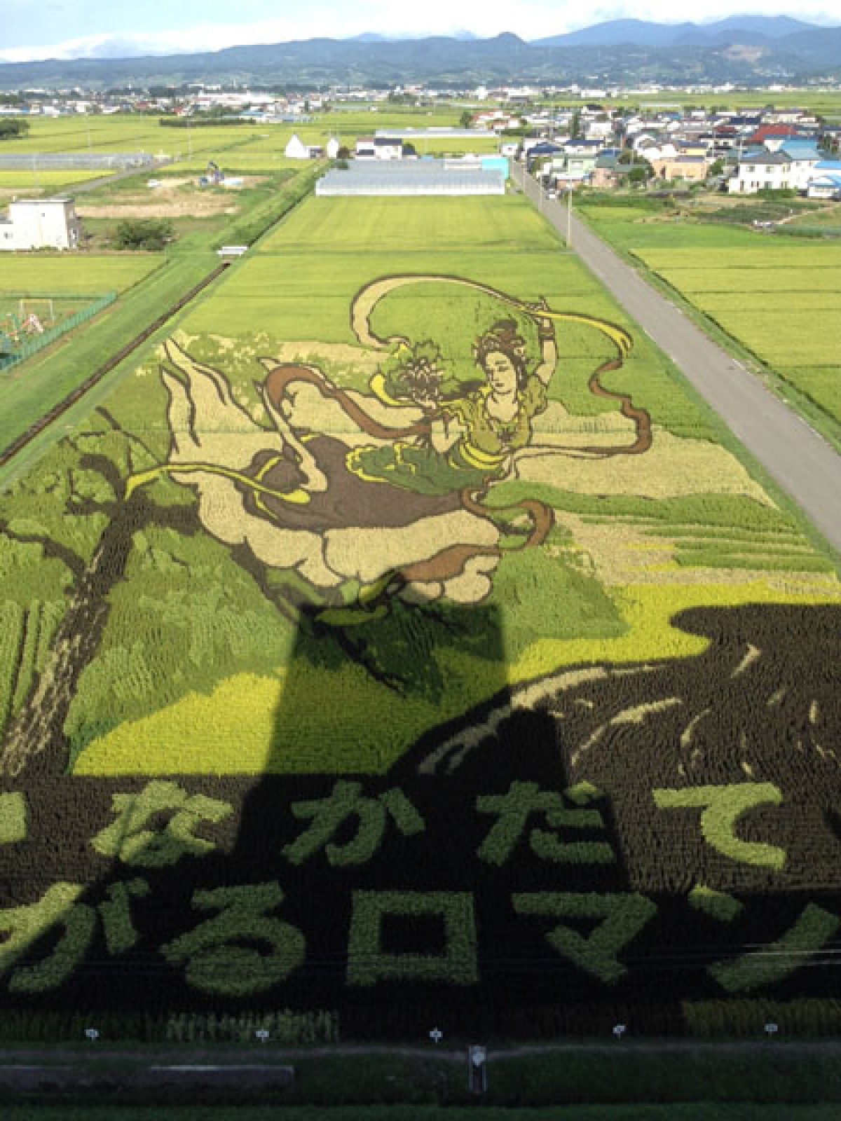 田んぼがキャンバスに…日本中に広がる「田んぼアート」が近代アートとコラボ
