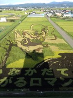 20年以上の歴史を持つ、青森県田舎館村（いなかだてむら）の「田んぼアート」