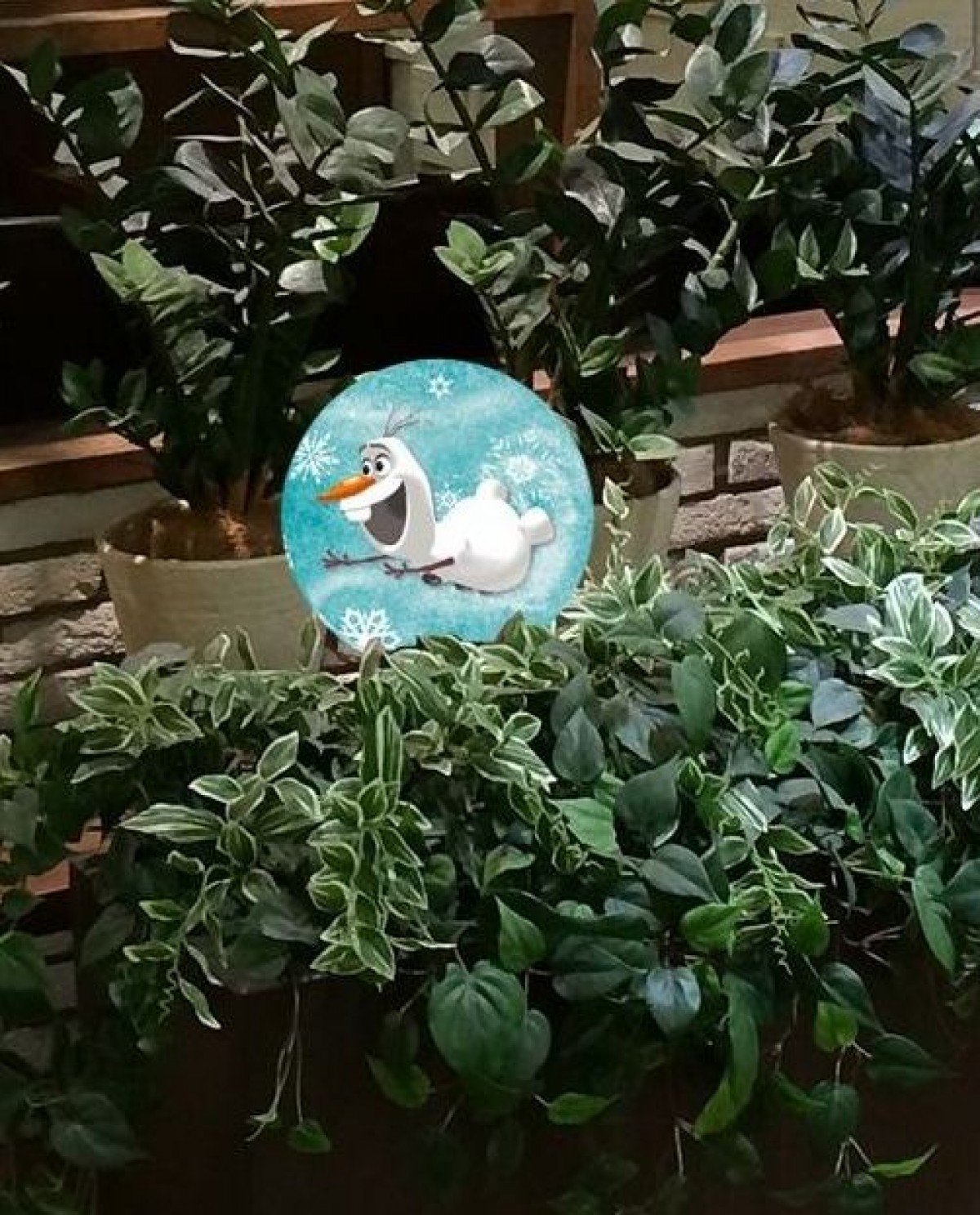 クリスマスシーズン到来！今年注目のイルミネーションスポット紹介