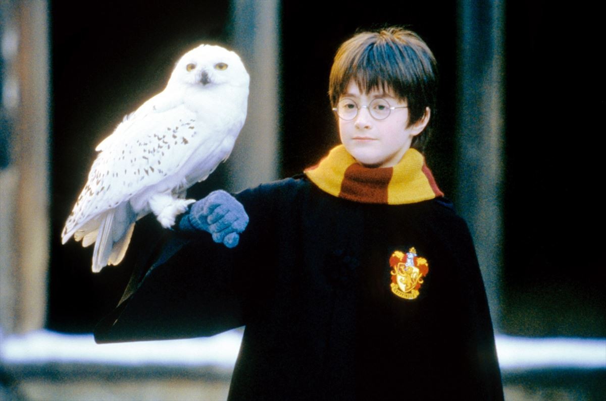 心温まる「冬」の名作10選、雪の降るスケート場から南極まで名シーン満載