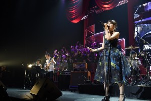 「第4回 AKB48紅白対抗歌合戦」の様子