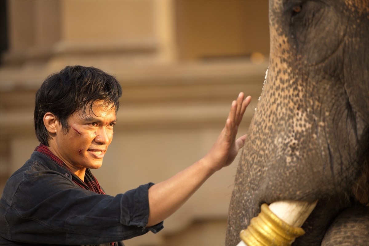 トニー・ジャー主演『マッハ！』新作、制約なしのガチ・アクション映像ついに解禁！