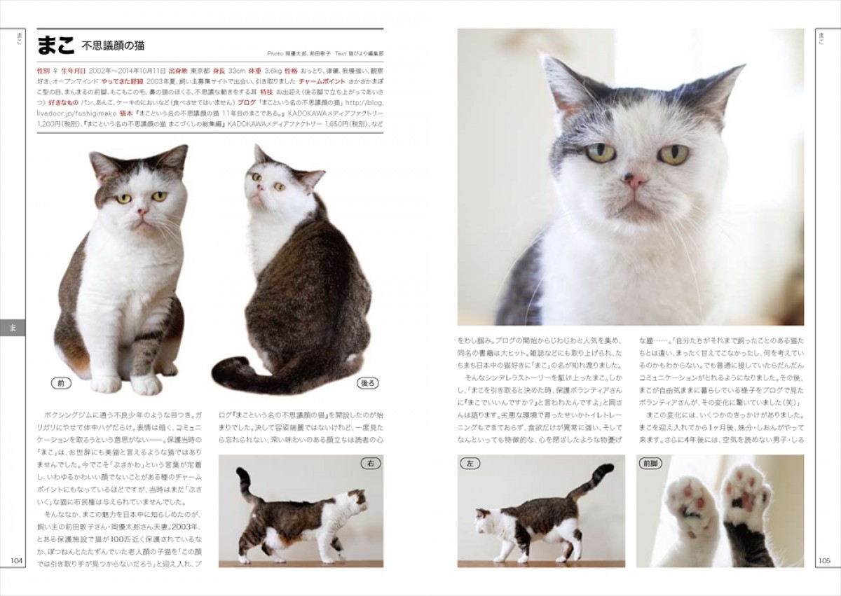 “ネコ界のスター”完全網羅のデータブック登場！　衝撃の寝顔、猫侍、じゃらん猫も