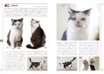 不思議顔の猫「まこ」
