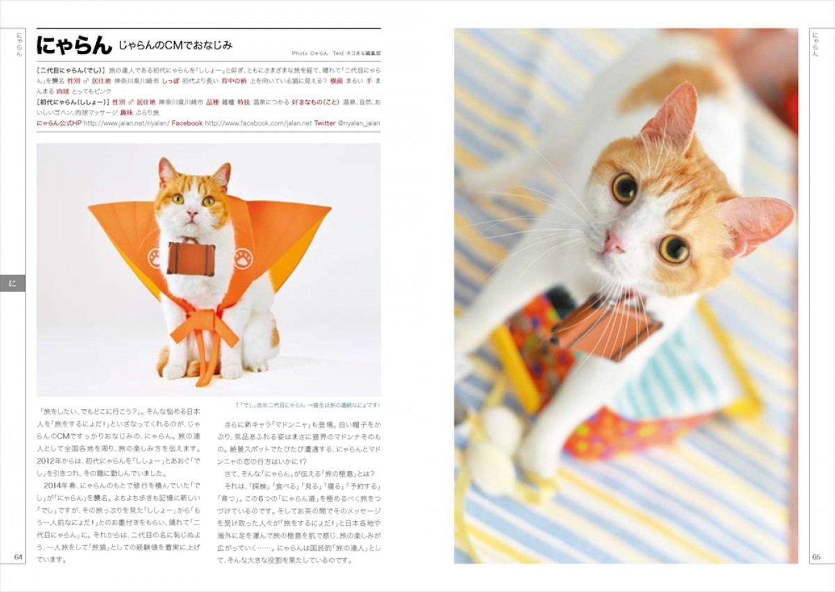 “ネコ界のスター”完全網羅のデータブック登場！　衝撃の寝顔、猫侍、じゃらん猫も