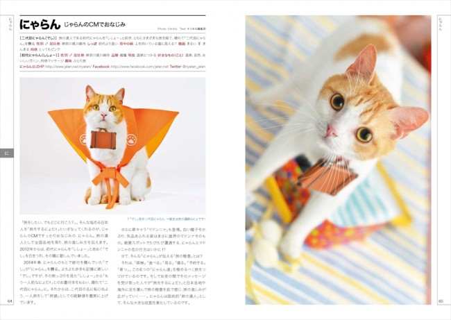 ネコ界のスター 完全網羅のデータブック登場 衝撃の寝顔 猫侍 じゃらん猫も 15年1月6日 写真 気になる ニュース クランクイン