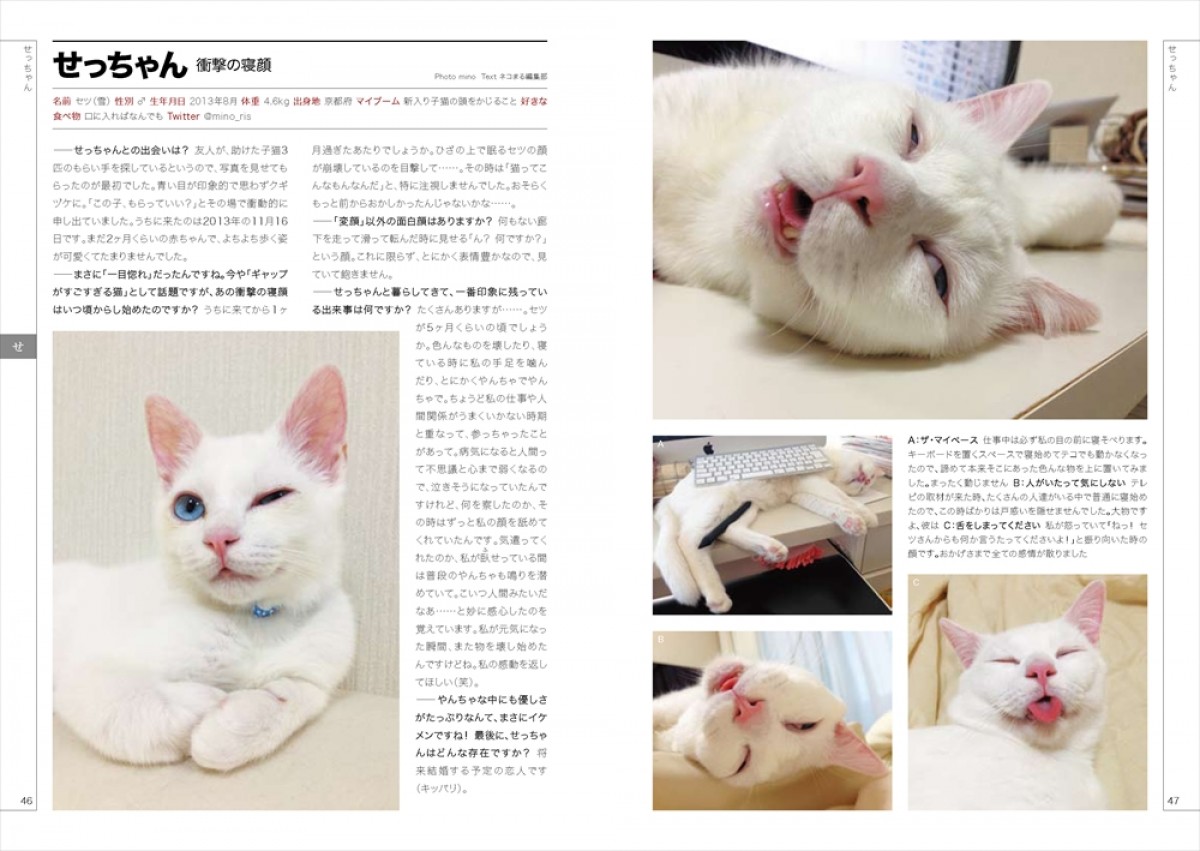 “ネコ界のスター”完全網羅のデータブック登場！　衝撃の寝顔、猫侍、じゃらん猫も