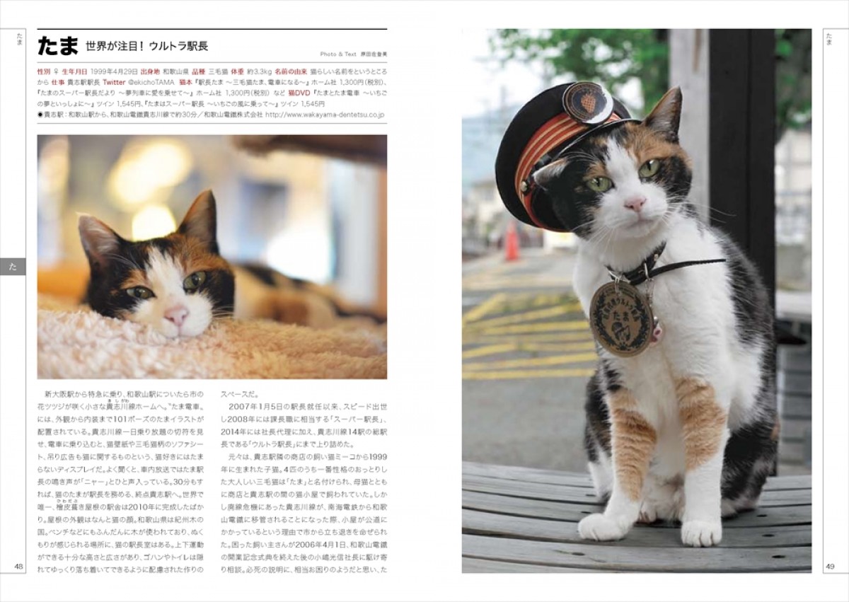 “ネコ界のスター”完全網羅のデータブック登場！　衝撃の寝顔、猫侍、じゃらん猫も