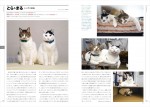 シンクロ姉妹「とら＆まる」