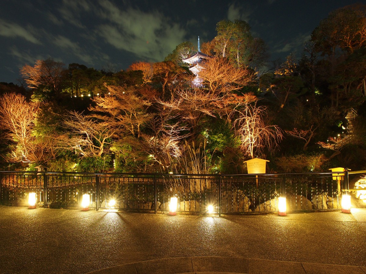 ホテル椿山荘東京では冬の花々を堪能できる「花かほる ～Scent of Flowers～」開催中