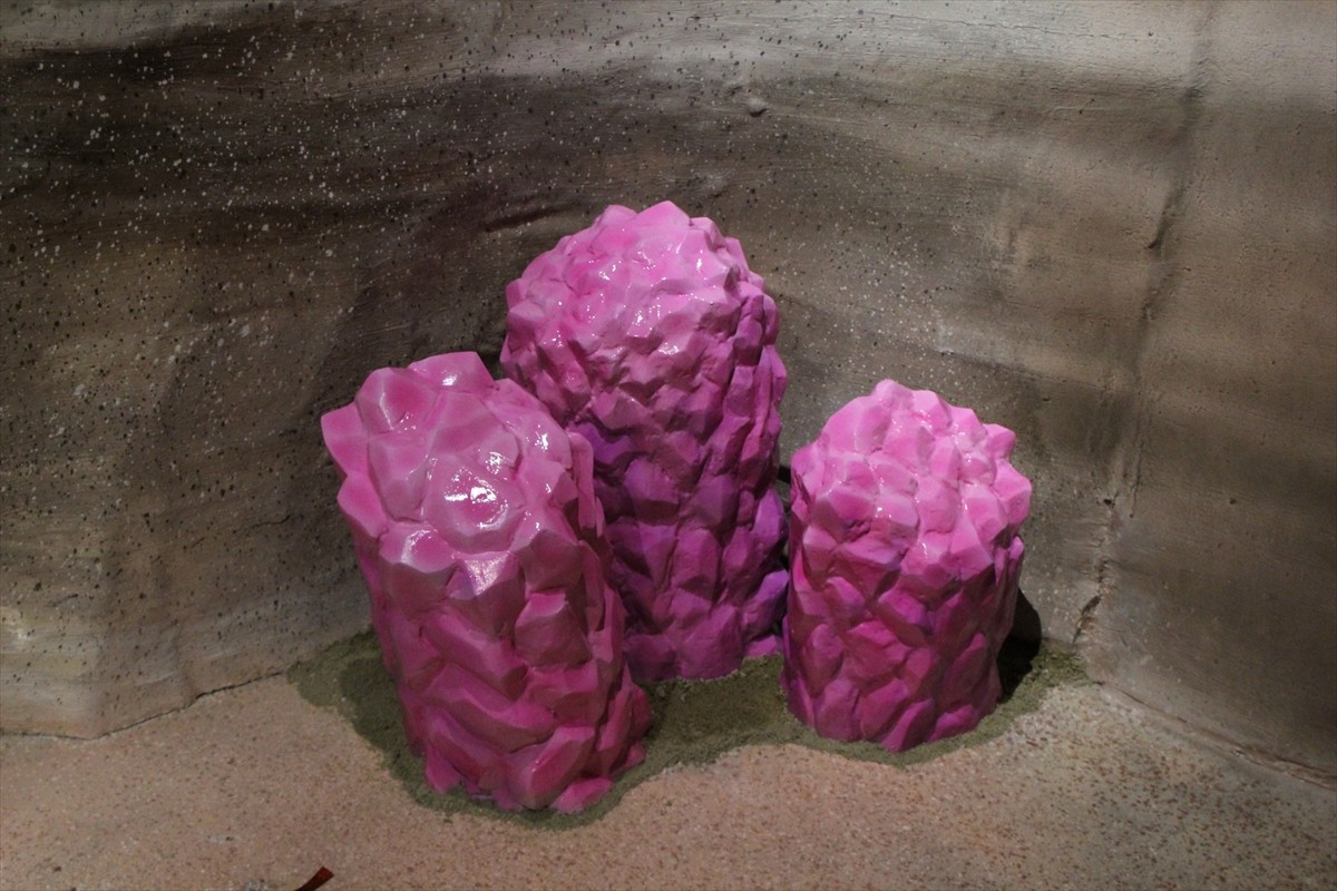 ユニバーサル・スタジオ・ジャパン