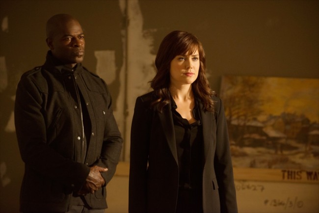 『ブラックリスト』シーズン1、THE BLACKLIST、Season 1、メーガン・ブーン、Megan Boone