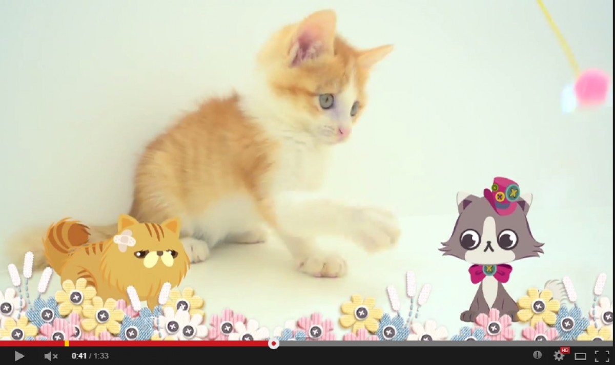かわいい子猫たちの姿も！「まもるよネコさん活動」活動紹介動画