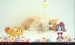 かわいい子猫たちの姿も！「まもるよネコさん活動」活動紹介動画