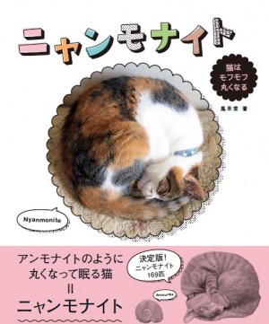 モフモフまあるい猫160匹以上収録…写真集『ニャンモナイト』発売中