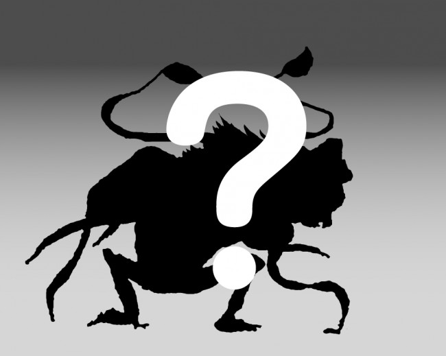 観月ありさ ドラえもん 映画最新作で声優初挑戦 田中裕二 市村正親らと宇宙海賊に 15年2月2日 写真 クランクイン 観月ありさ ドラえもん 映画最新作で声優初挑戦 田中裕二 市村正親らと宇宙海賊に 15年2月2日 写真 クランクイン