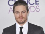 2014年「世界で最もハンサムな顔100人」15位：スティーヴン・アメル