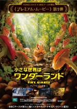 『小さな世界はワンダーランド』は2015年初夏、TOHOシネマズ新宿ほか全国順次公開