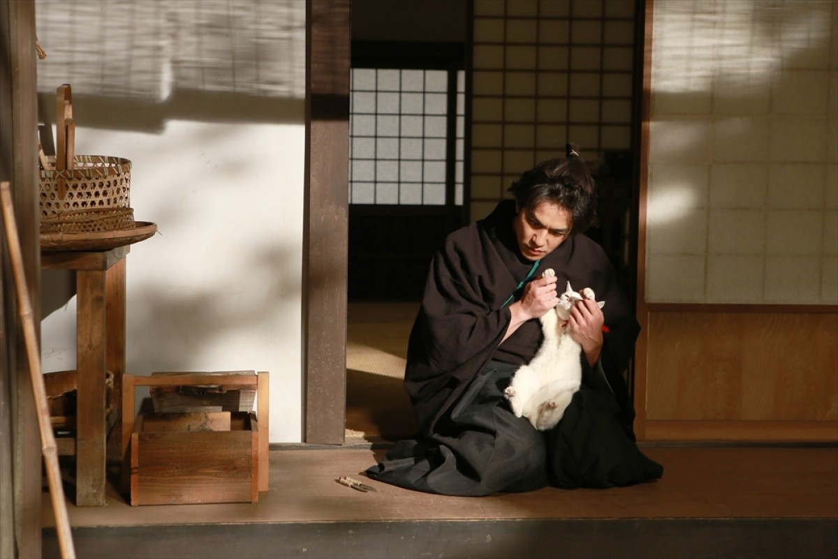 『猫侍 SEASON 2』フォト特集！ ネコ好き悶絶必至の写真満載