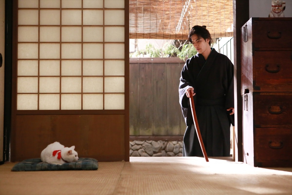 『猫侍 SEASON 2』フォト特集！ ネコ好き悶絶必至の写真満載