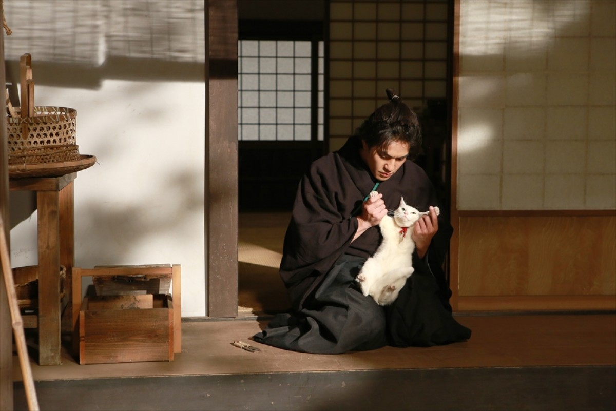 『猫侍 SEASON 2』フォト特集！ ネコ好き悶絶必至の写真満載