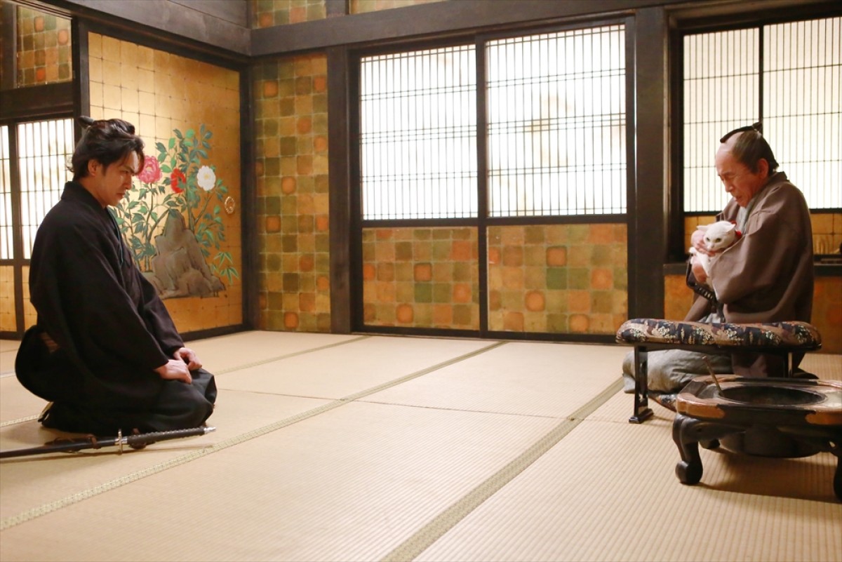 『猫侍 SEASON 2』フォト特集！ ネコ好き悶絶必至の写真満載