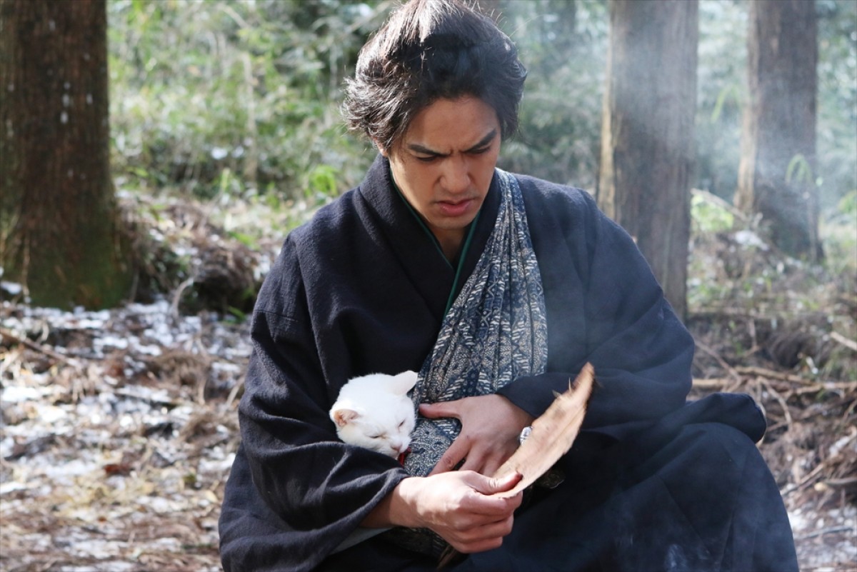 『猫侍 SEASON 2』フォト特集！ ネコ好き悶絶必至の写真満載